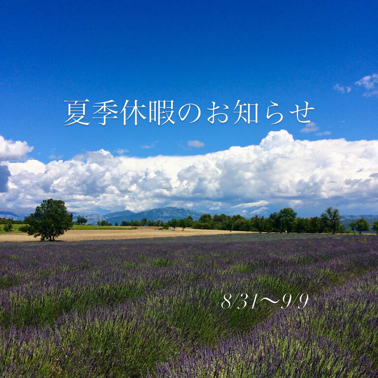 ブログ